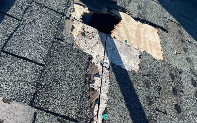 Raccoon Hole in Roof North East